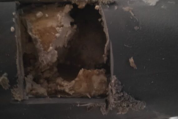 Drain Unblocking
